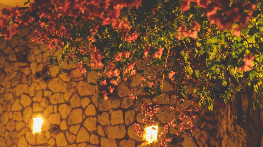 Althea Studios Lefkada Áyios Nikítas Oda fotoğraf