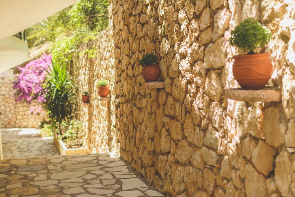 Althea Studios Lefkada Áyios Nikítas Oda fotoğraf