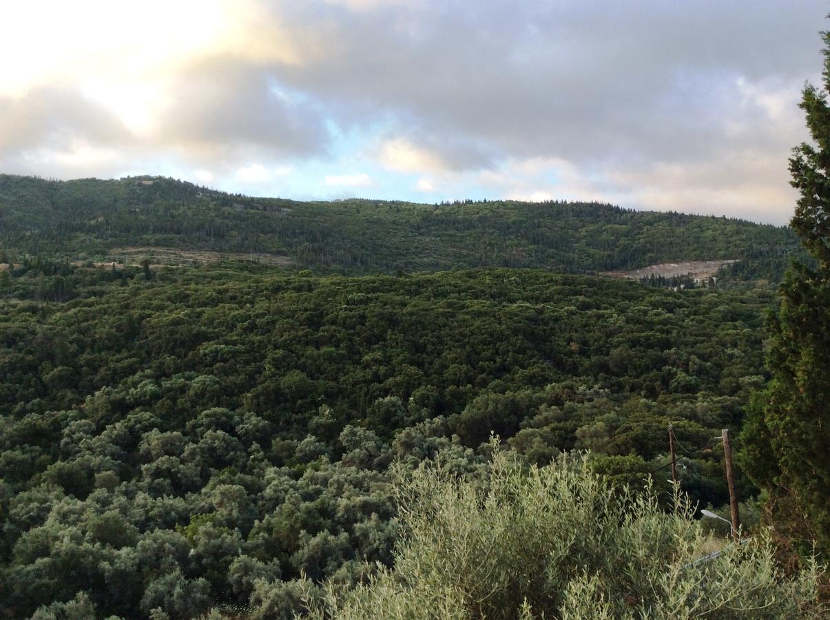 Althea Studios Lefkada Áyios Nikítas Dış mekan fotoğraf