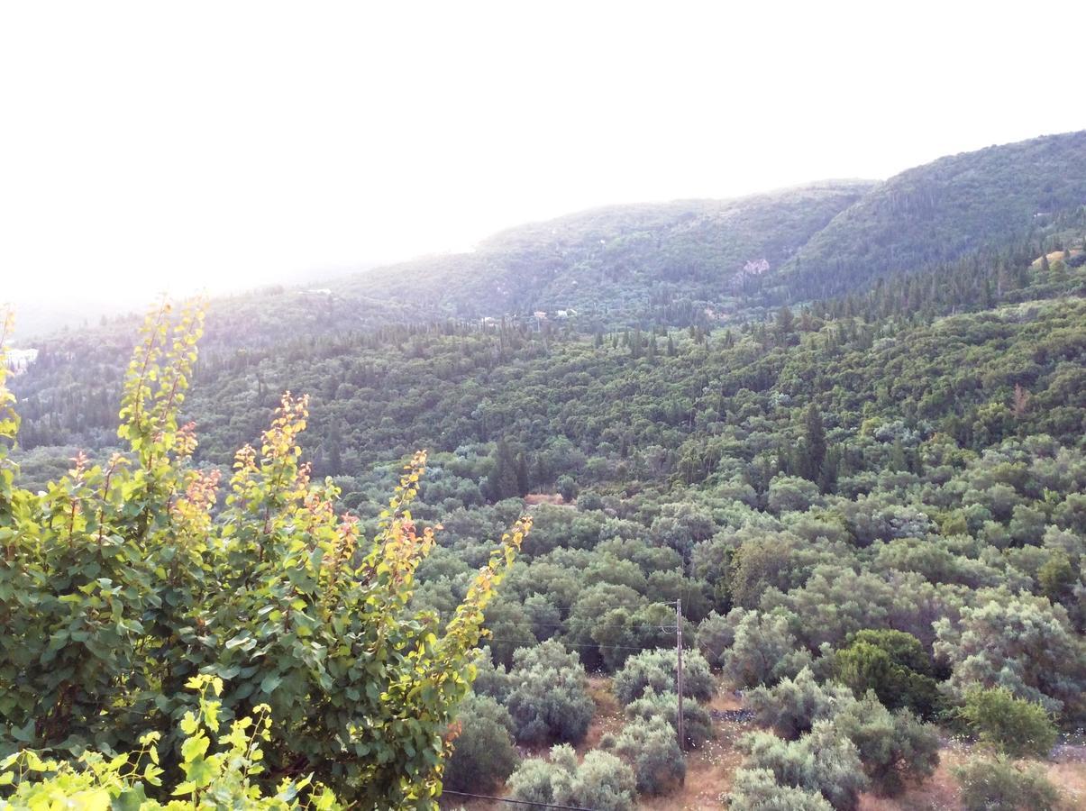 Althea Studios Lefkada Áyios Nikítas Dış mekan fotoğraf